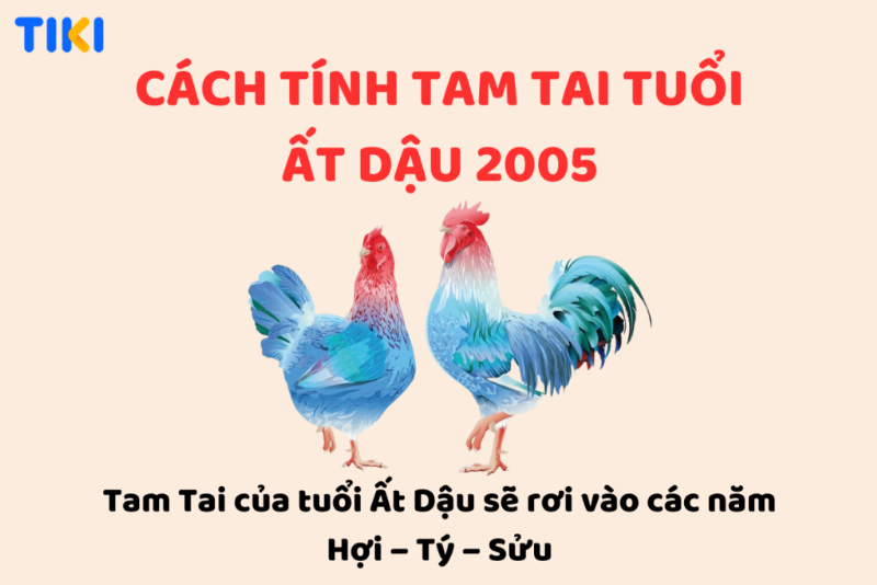 Những thách thức và lời khuyên cho người tuổi Dậu 2005 mệnh Thủy